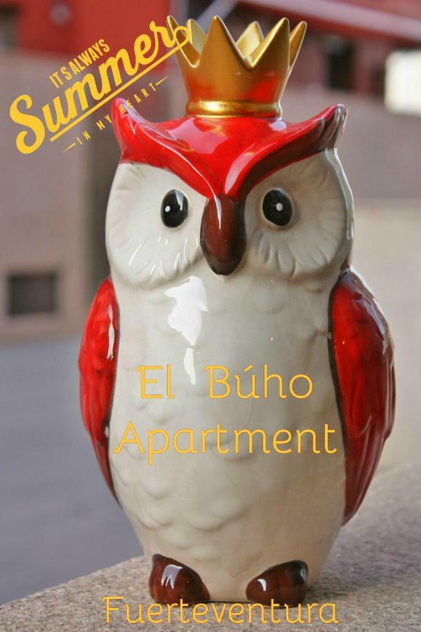 El Buho Apartment Wi-Fi Puerto del Rosario  Exterior foto